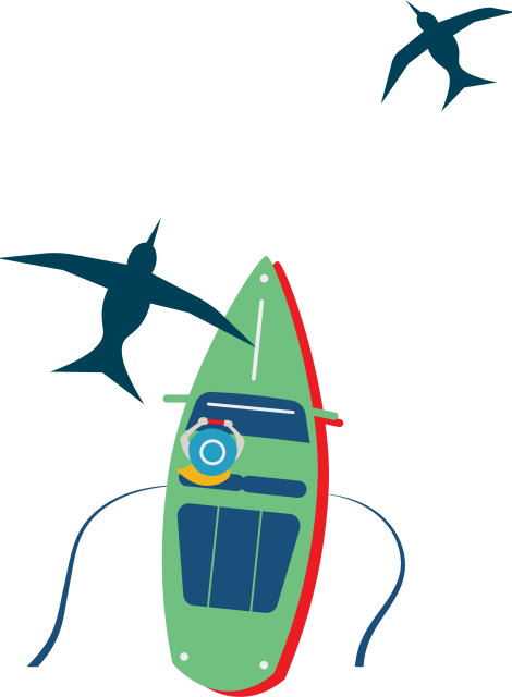 NexAnnuity graphic of boat and birds